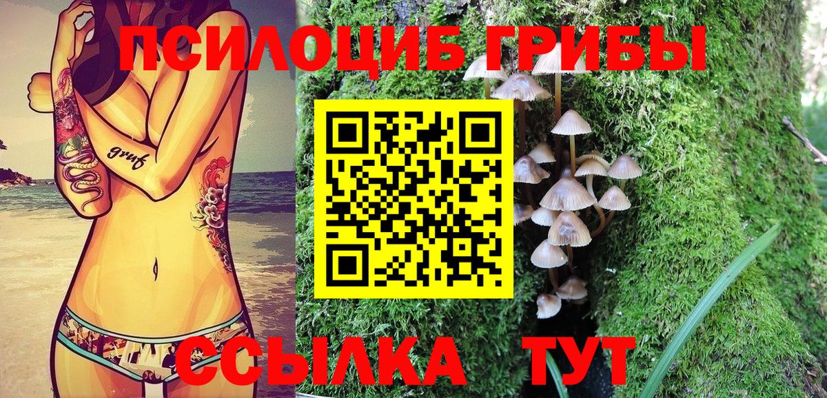 Галлюциногенные грибы мицелий Кудрово