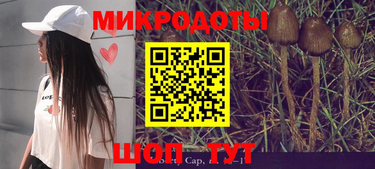 Псилоцибиновые грибы Cubensis  Галлюциногенные грибы MAGIC MUSHROOMS  Кудрово  Вход с VPN 